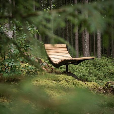 Forstgut - Premium Waldchalets Und Lodge Suiten Regen Buitenkant foto