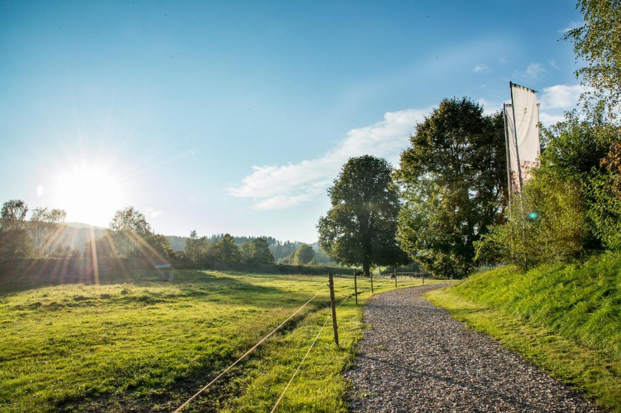 Forstgut - Premium Waldchalets Und Lodge Suiten Regen Buitenkant foto