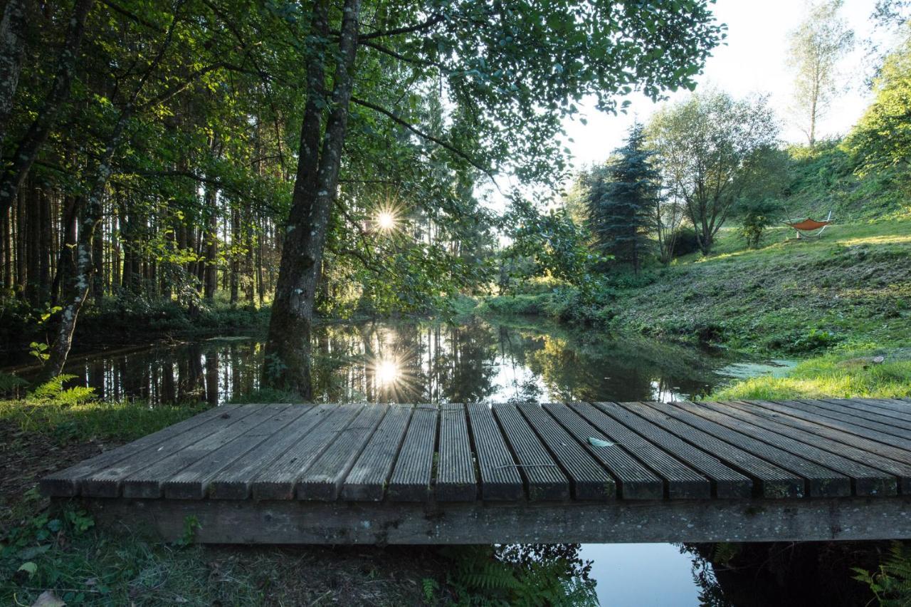 Forstgut - Premium Waldchalets Und Lodge Suiten Regen Buitenkant foto