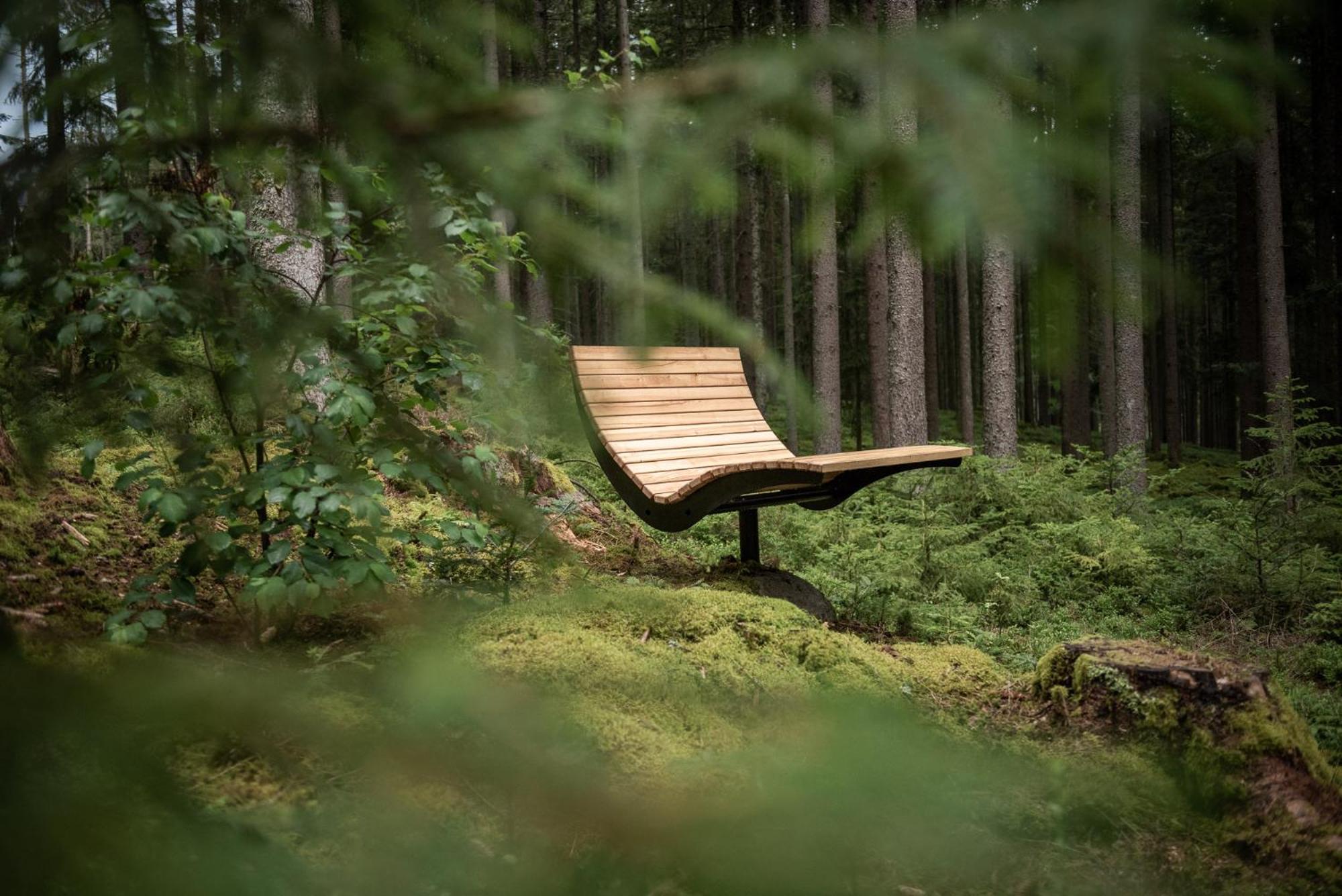 Forstgut - Premium Waldchalets Und Lodge Suiten Regen Buitenkant foto
